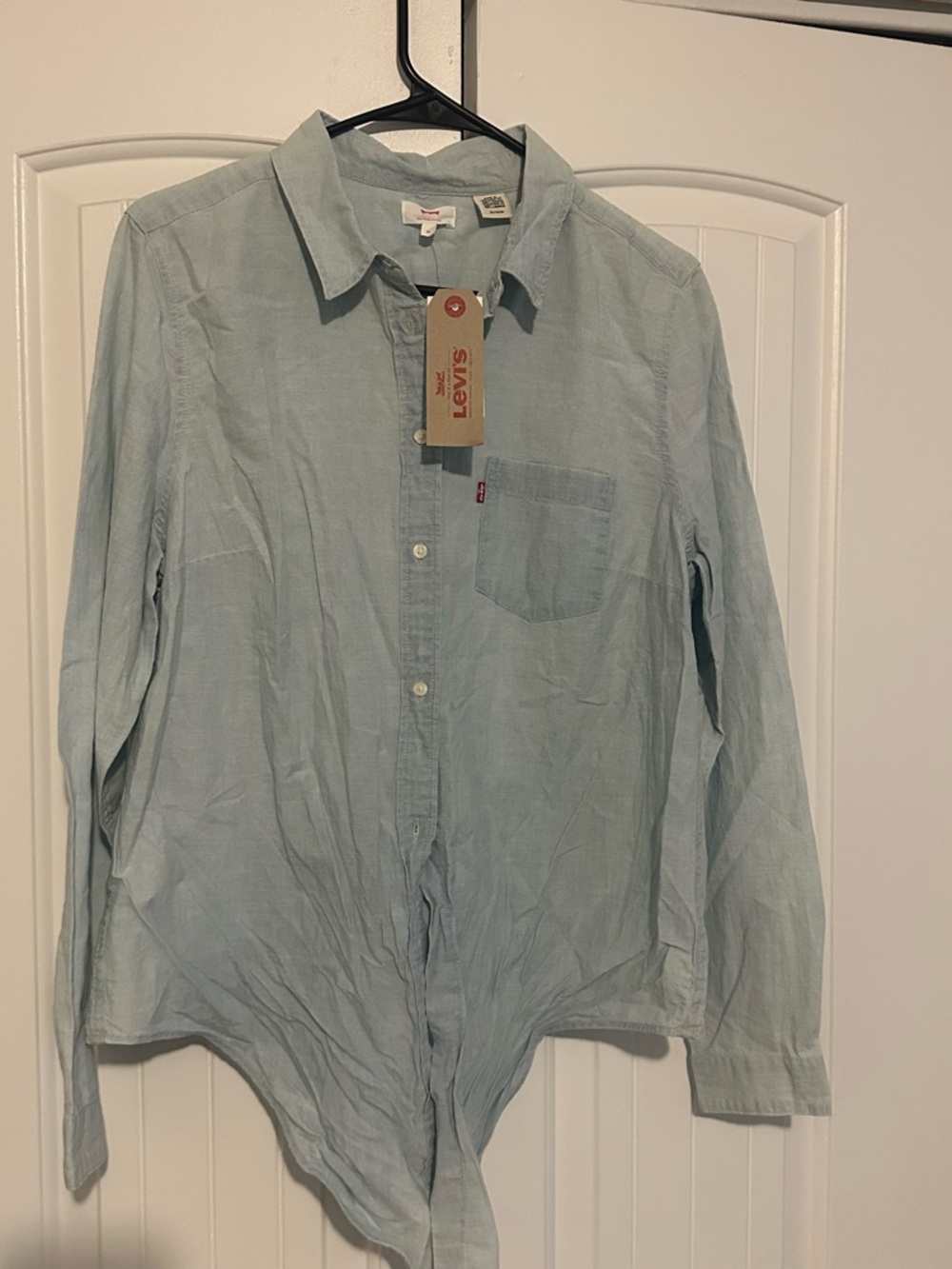 Levi's Pale Blue Casual Button-Down Shirt